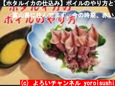 【ホタルイカの仕込み】ボイルのやり方と下処理　茹でる湯に入れる調味料など　How to prepare squid  (c) よろいチャンネル yoroisushi
